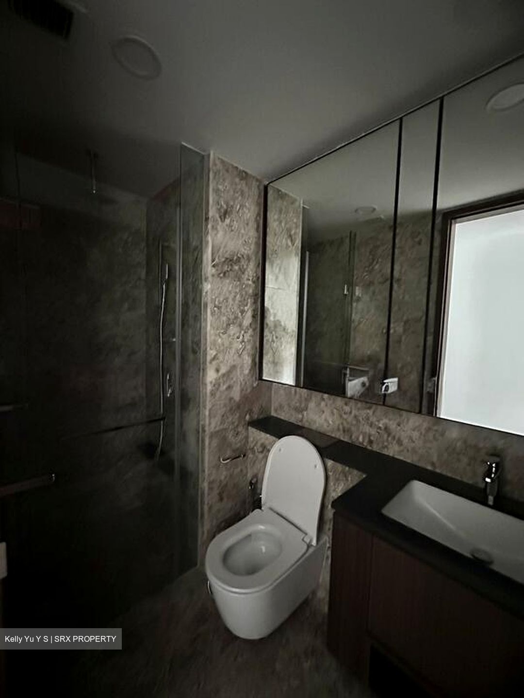 Kopar At Newton (D9), Apartment #504137381